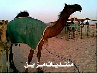 @@@@  @@@@