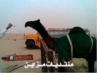 @@@@ عسران@@@@