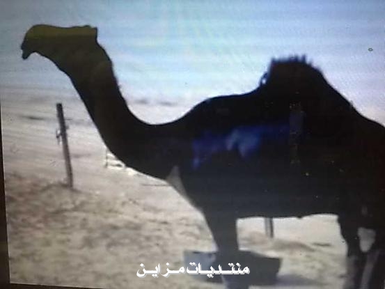 @@@@   @@@@