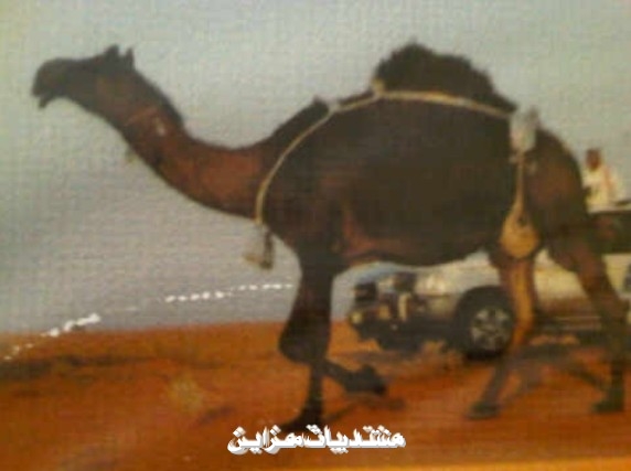 ζζ    