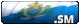 Flag Sm